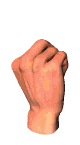 Finger3